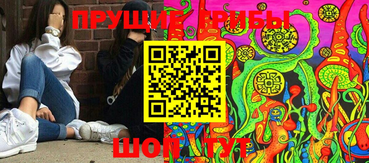 Псилоцибиновые грибы Psilocybe  Вход с VPN  Великий Устюг 