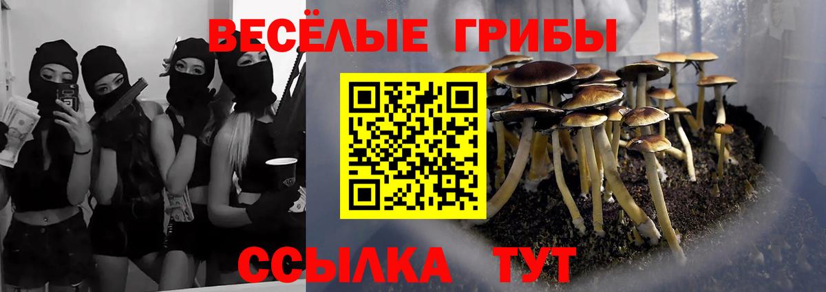 Галлюциногенные грибы Psilocybine cubensis Великий Устюг
