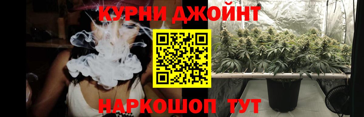 Шишки марихуана конопля  Бошки марихуана White Widow  Вход с VPN  Каннабис планчик  Великий Устюг  Бошки Шишки план 