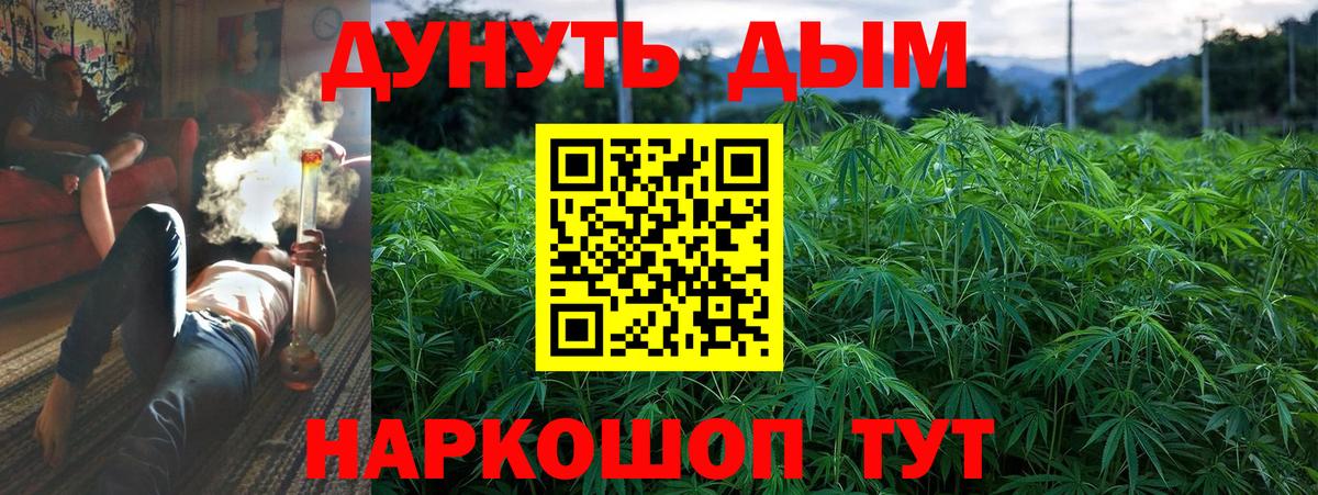 Каннабис конопля Великий Устюг